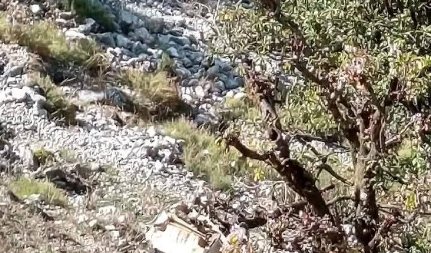 दार्चुलामा जिप दुर्घटना, २ जनाको मृत्यु